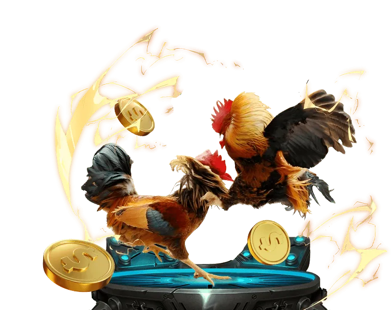 Hình ảnh minh họa các ưu đãi và chương trình VIP tại 8888now